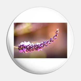 Lavender and bokeh Pin