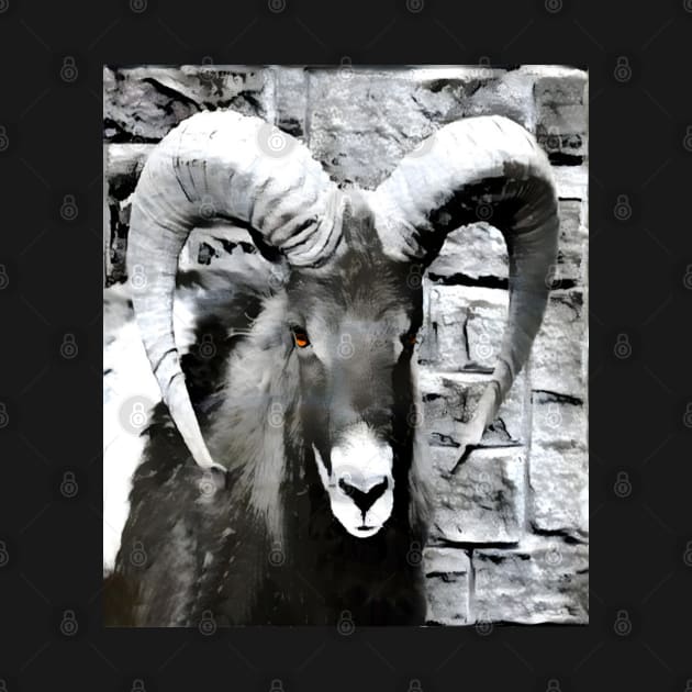 Goat Black and White Spray Paint Wall by Nuletto