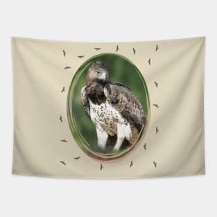 Martial Eagle - Eagle - Bird of prey - Africa Tapestry