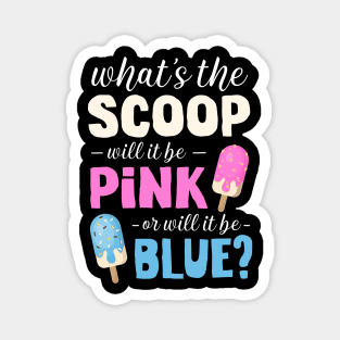 Gender Reveal Pink or Blue Summer Ice Cream Family Matching Magnet