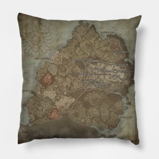 Diablo IV Map Pillow