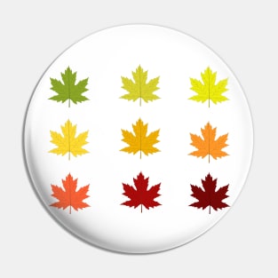 Colorful autumn leaves Pin