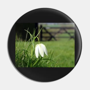 Fritillaria Meleagris Alba Pin