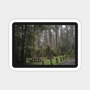 Picnic in Sherbrooke Forest Magnet