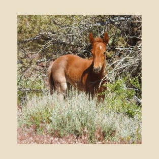 Wild Horse, foal, wildlife, Precious Babe T-Shirt