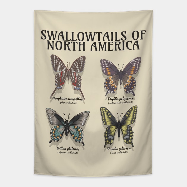 Butterfly specimen new arrivals tapestry