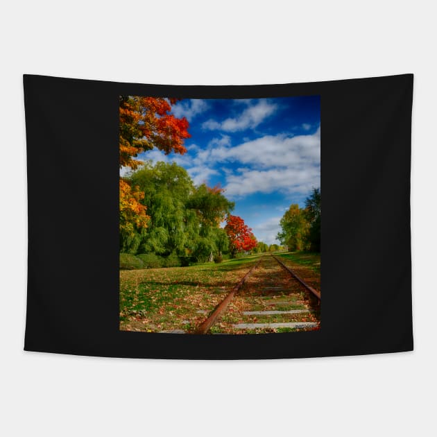 Railroad Tracks at Grand-Pre National Historic Site Tapestry by kenmo