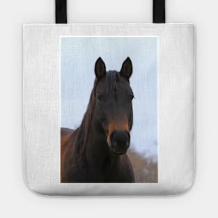 Colorful Horse with blue sky Tote