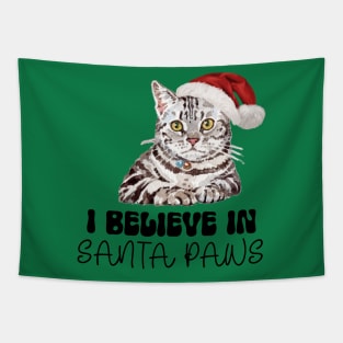 Funny Cat Santa Paws Christmas Tapestry