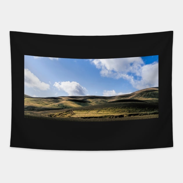 San Andreas Rift Zone Tapestry by MCHerdering