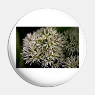 English Wild Garlic Pin