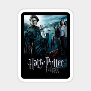 Harry Potter, Chosen by Magic Magnet