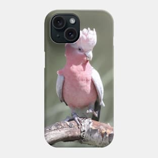 Pink cockatoo Phone Case