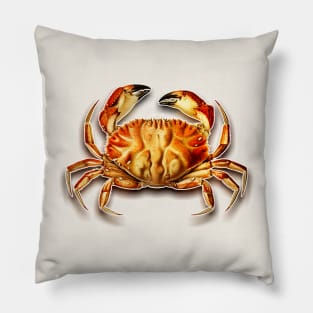 Crab drawing in vintage style Pillow