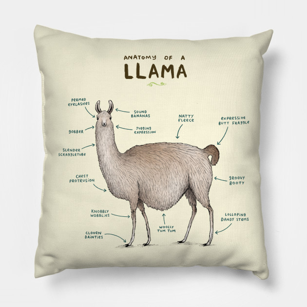 Alpaca Anatomy Chart