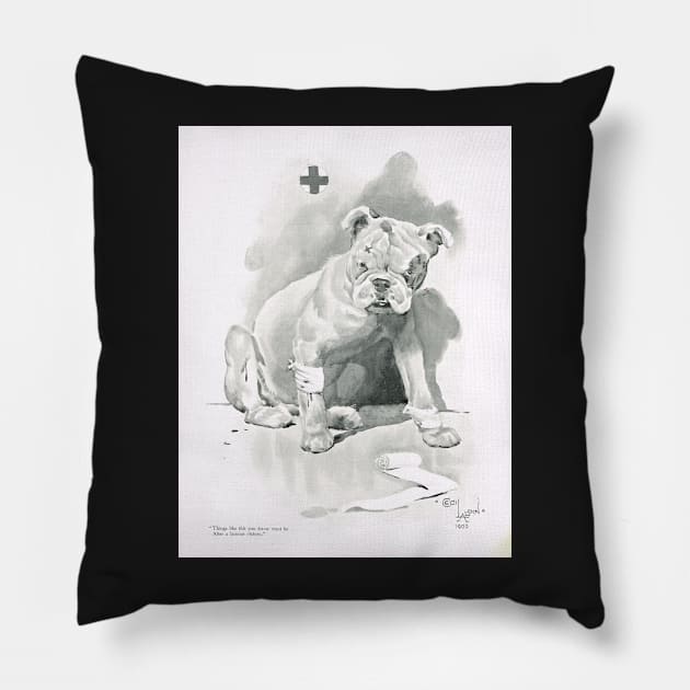 The Bulldog spirit. Injured but defiant British Bulldog, 1900, during the Second Boer war. Pillow by artfromthepast