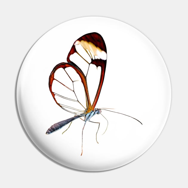 Amazing Glasswing Butterfly Pin by DesignMore21