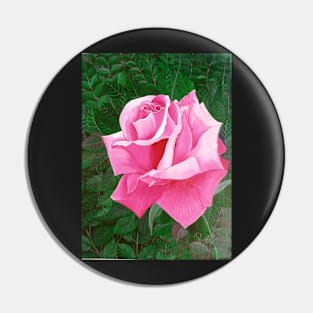 Rose in a Garden Pin