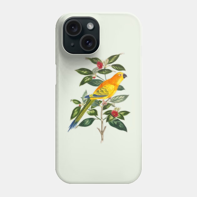 Parrot Colorful Nature Illustration Phone Case by Biophilia