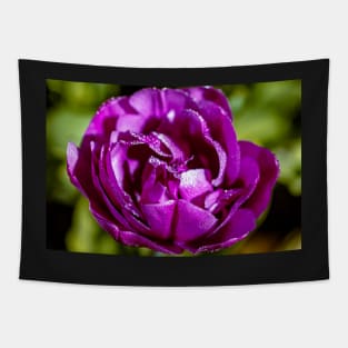 Beautiful purple tulip Tapestry