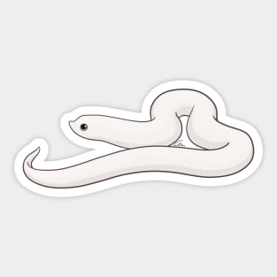 Tricolor Hognose Sticker for Sale by Madison Whitaker