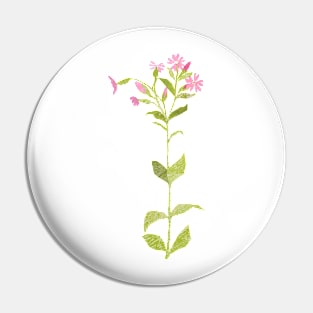 Field campion (full flower) Pin