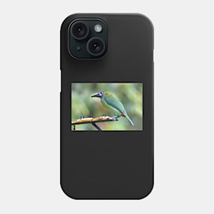 Blue-throated Toucanet Phone Case