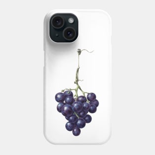 Bunch of blue grapes by Jean Bernard Phone Case