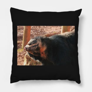 The Bear Necessities Pillow
