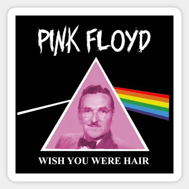 pink floyd andy griffith t shirt