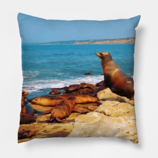 San Diego La Jolla Cove Sea Lions California USA Photography Pillow
