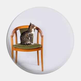 a cat on a chair Pin