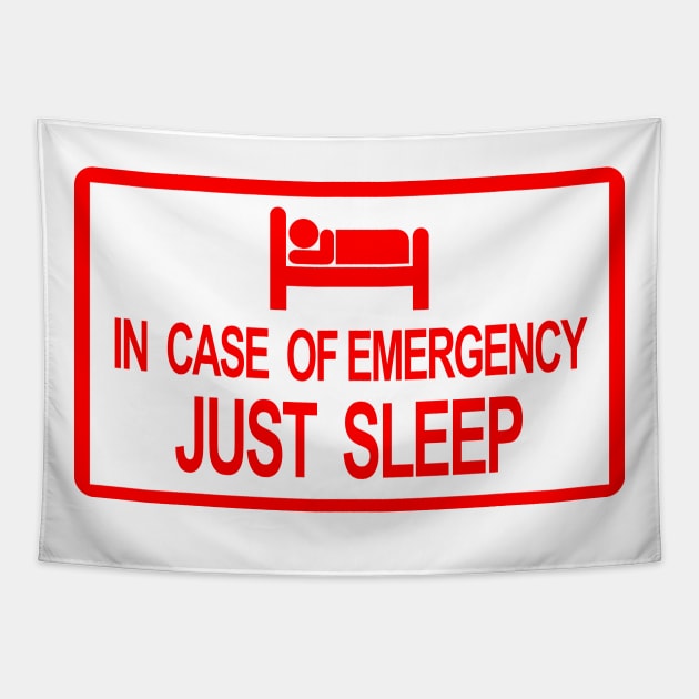 In Case of Emergency Just Sleep Signage Tapestry by felixbunny