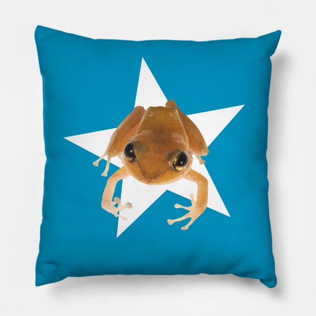 Coqui Pillow by austyndelugoart