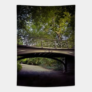 Central Park Bridge Manhattan NYC Tapestry