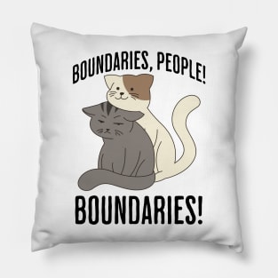 Boundaries, People! Boundaries! funny introvert sarcastic design Pillow