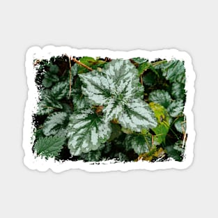 Nettle in the woods Magnet