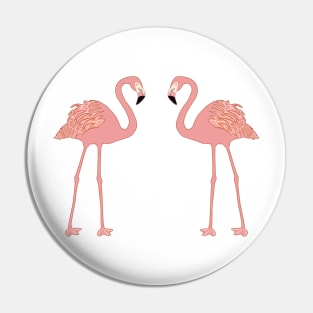 Flamingos, tropical, artwork, island, tropics, nature, gifts Pin