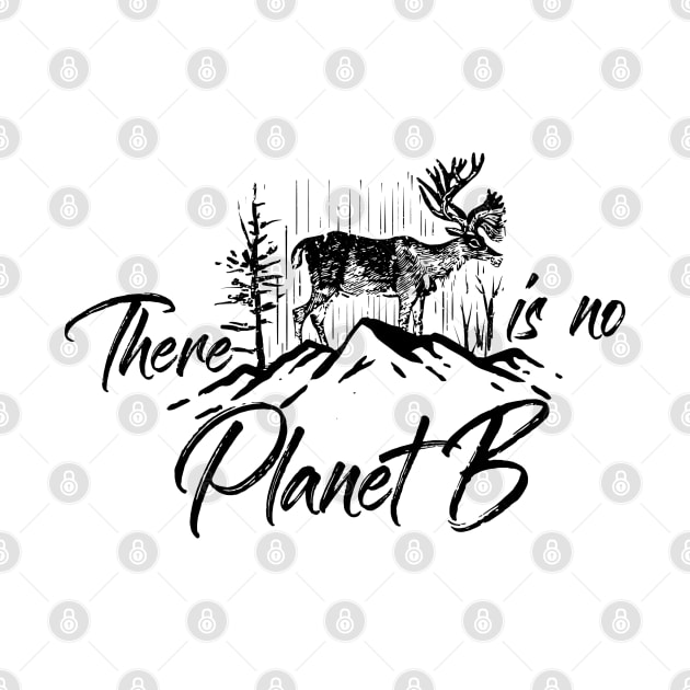 There is no planet B by PinkBorn