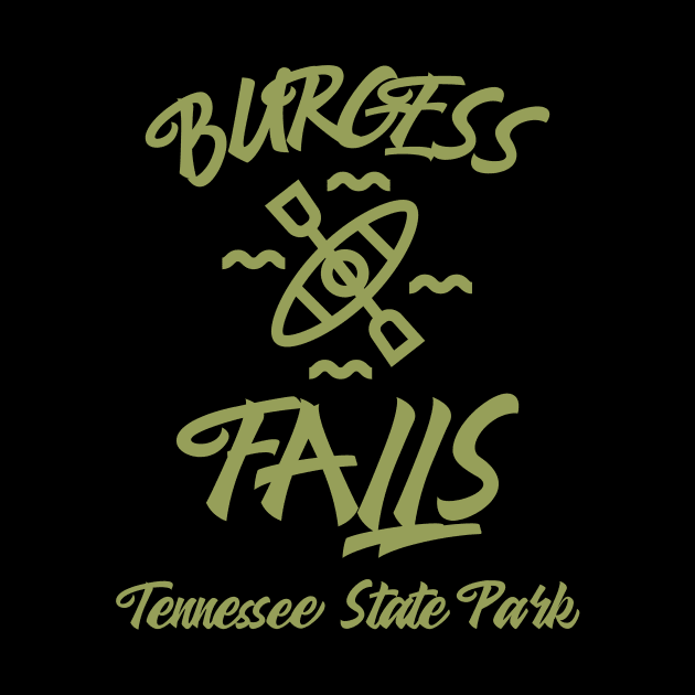 BURGESS FALLS TENNESSEE T-SHIRT by Cult Classics