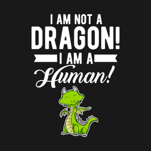 Funny Quote Dragon Saying Humorous Present For Men Women Kids T-Shirt