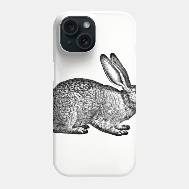 Rabbit - Hare - Bunny - nature - drawing, animal Phone Case by AltrusianGrace