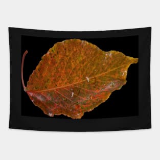 Small Leaf Tapestry