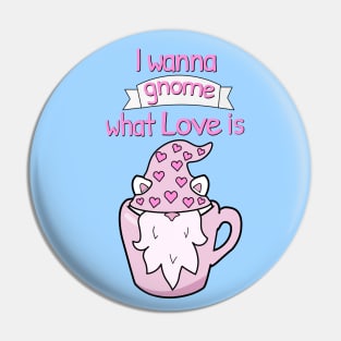 I wanna gnome what love is Pin