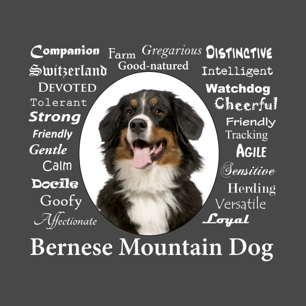 Bernese Mountain Dog Traits by You Had Me At Woof