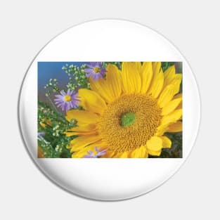 Common Sunflower And Asters North America I Pin