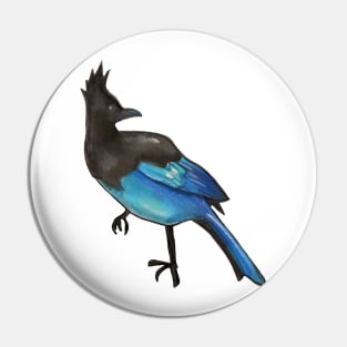 Steller's Jay Pin