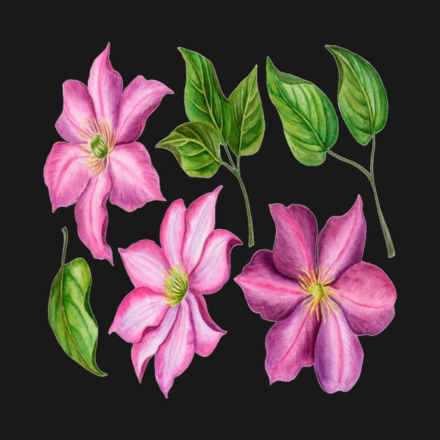 Clematis flowers and leaves by Lula Pencil Art