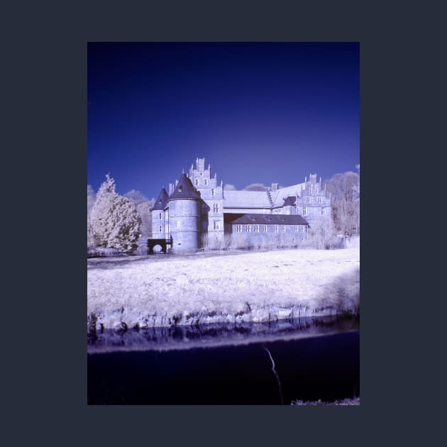 Castle of Herten in infrared by BonniePhantasm