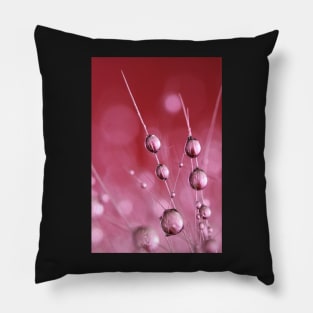 Claret Cactus Drops Pillow